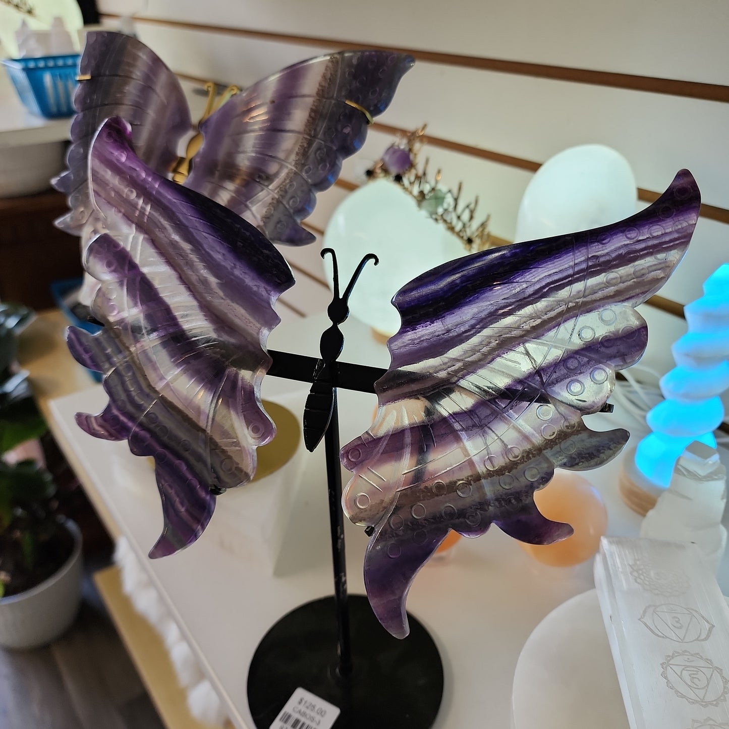 Fluorite Butterfly Slabs on Stand