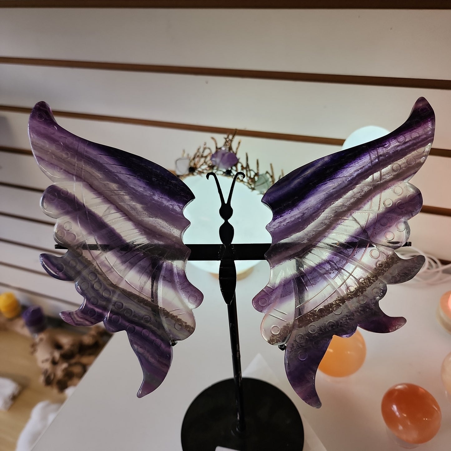 Fluorite Butterfly Slabs on Stand