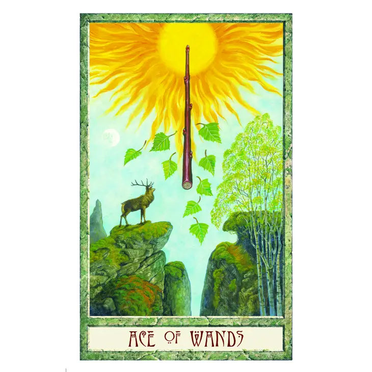 The Druidcraft Tarot (78 Cards and 192 Page Guidebook)