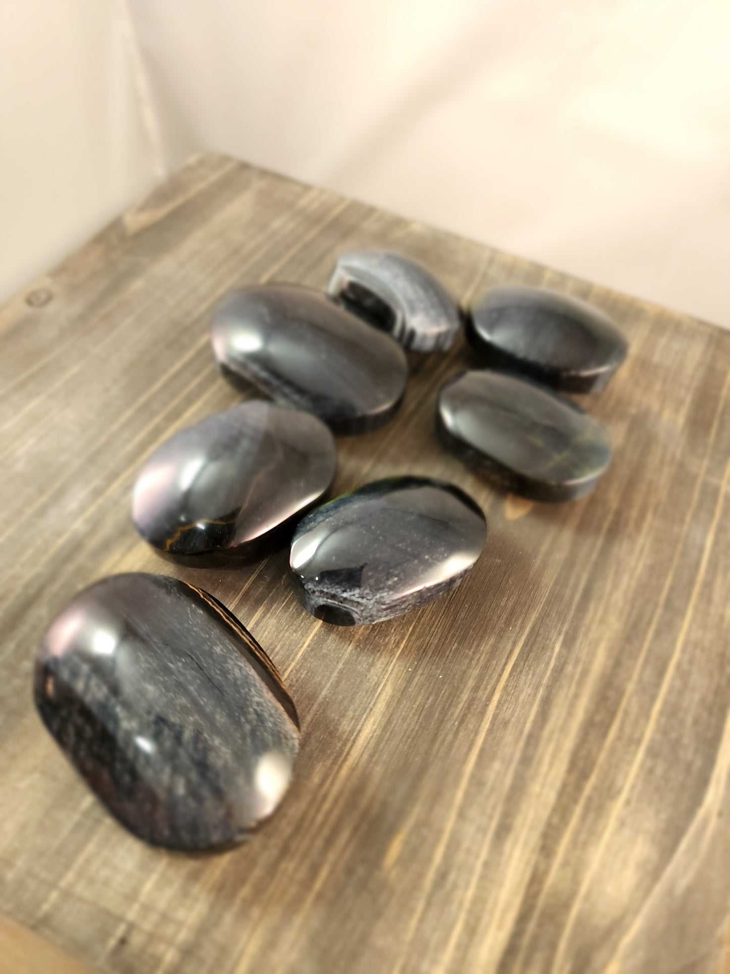 BLUE TIGERS EYE PALMS