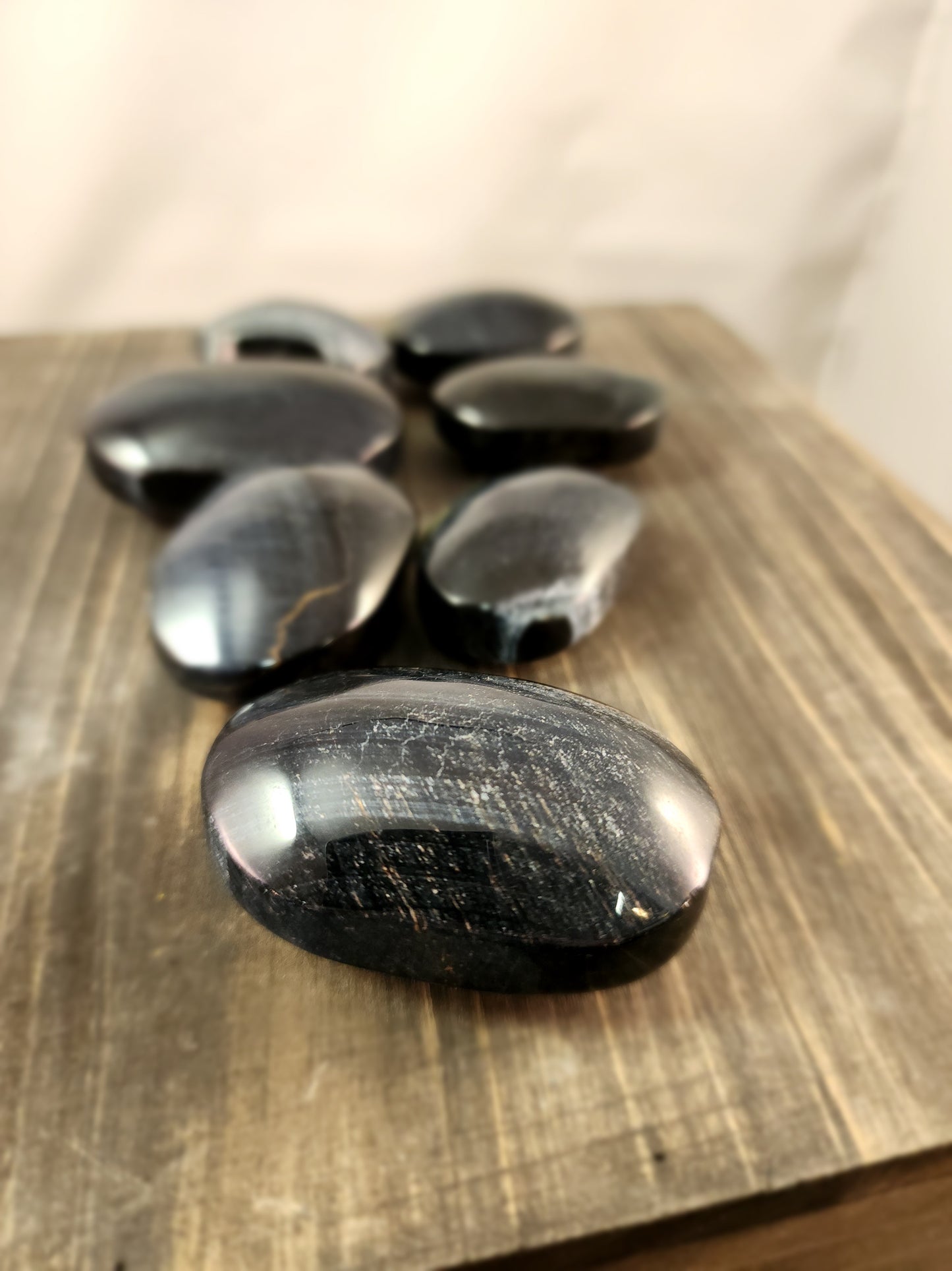 BLUE TIGERS EYE PALMS