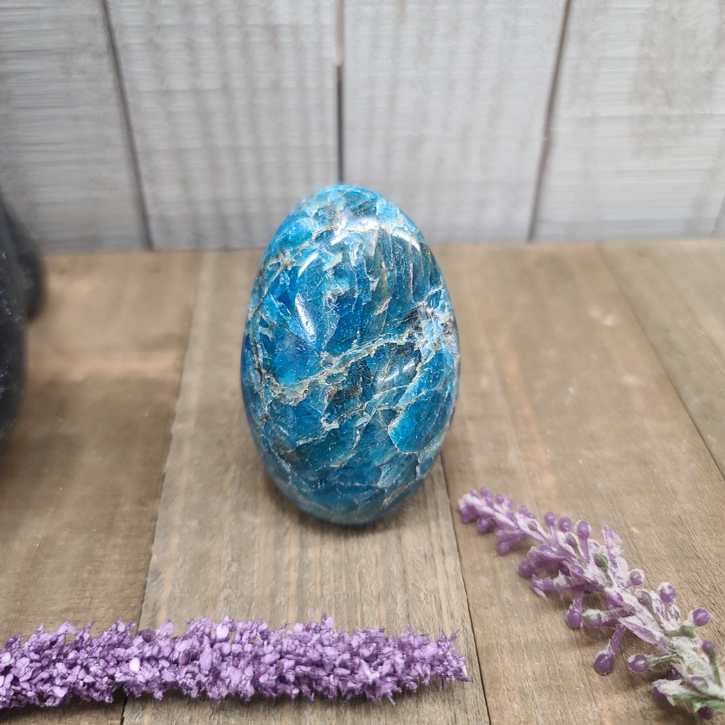 Blue Apatite Crystal Palms