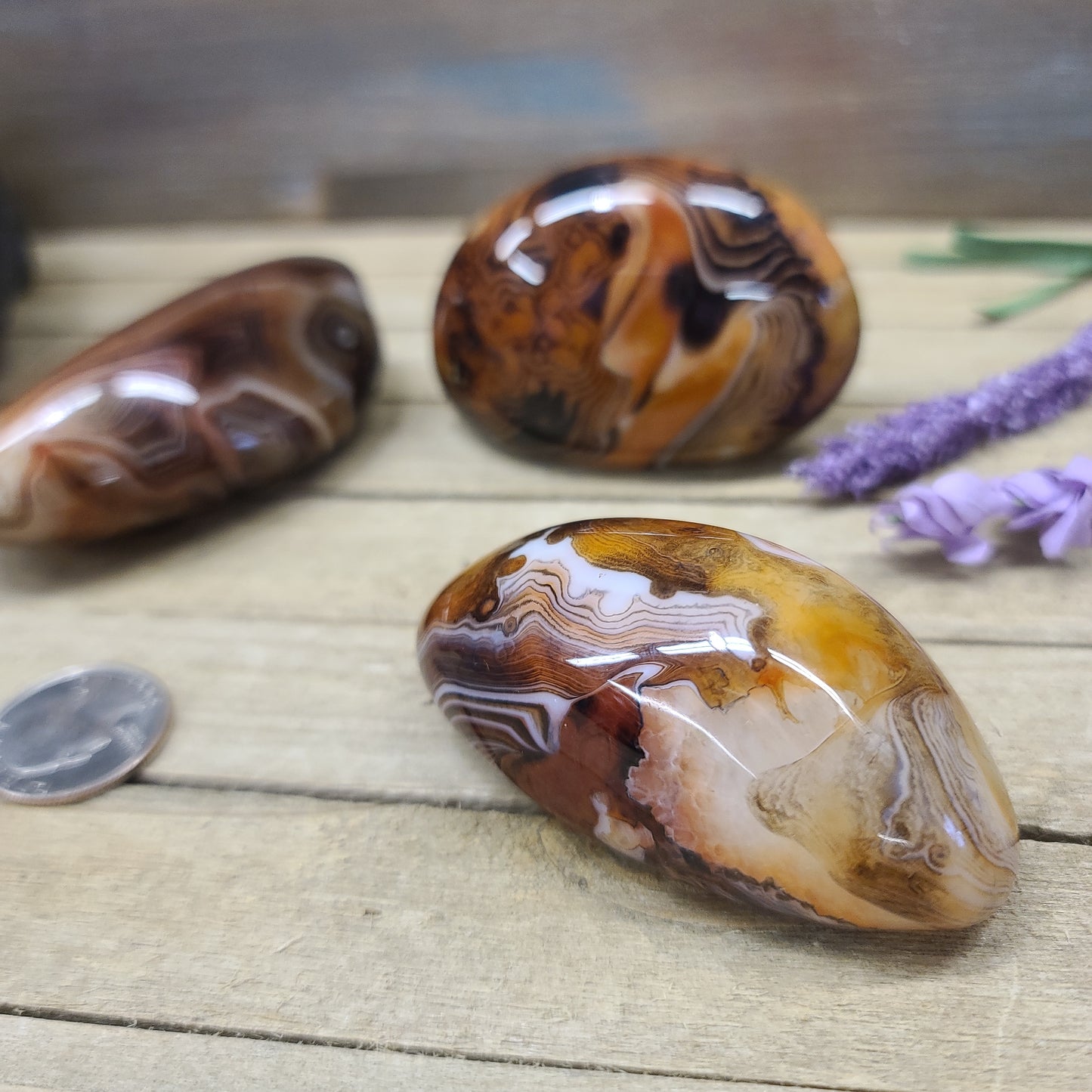 SardOnyx Palms - Large