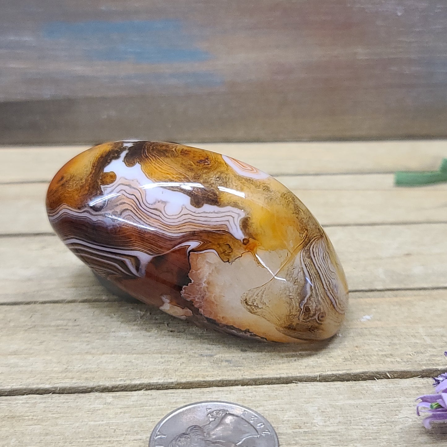 SardOnyx Palms - Large