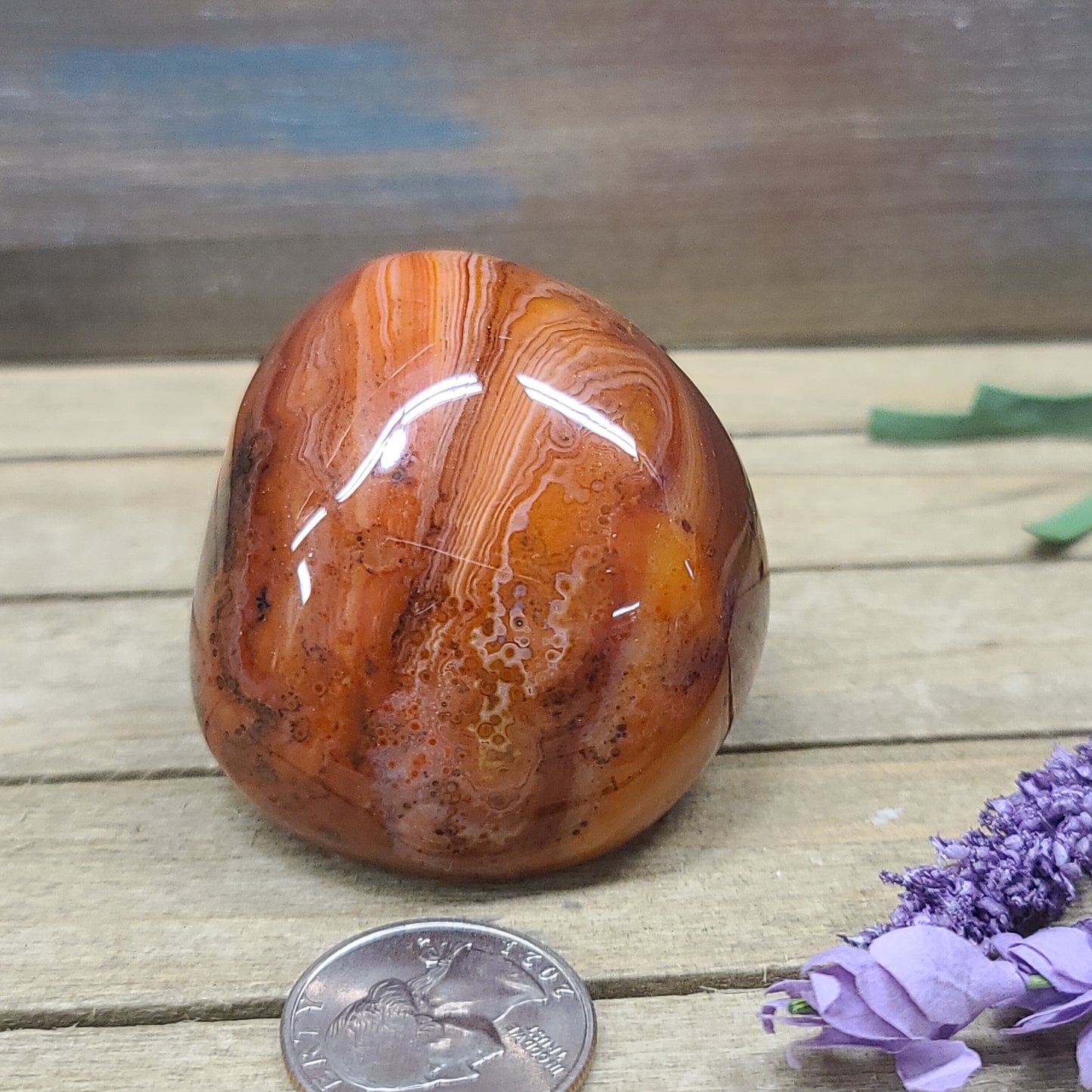SardOnyx Palms - Large