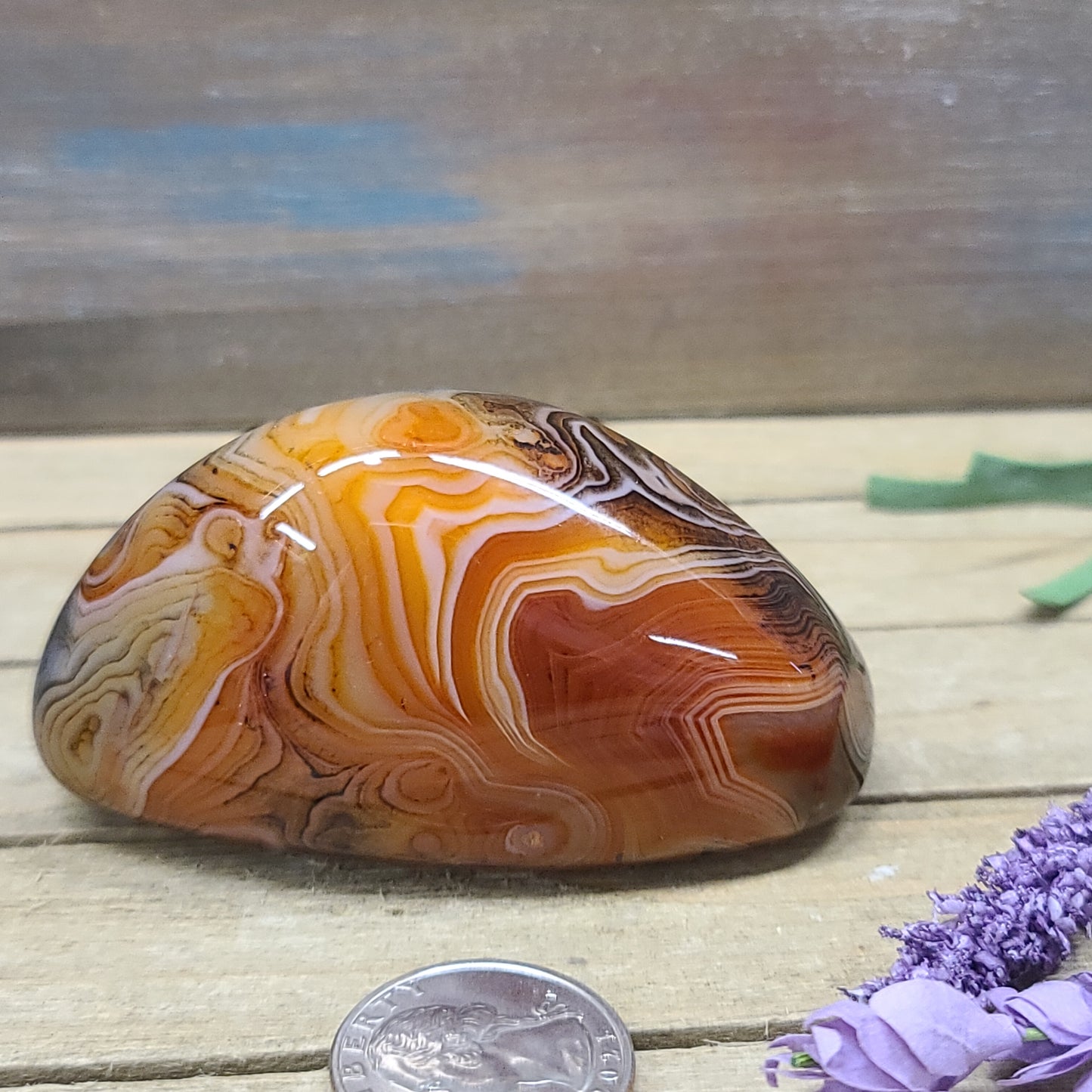 SardOnyx Palms - Large