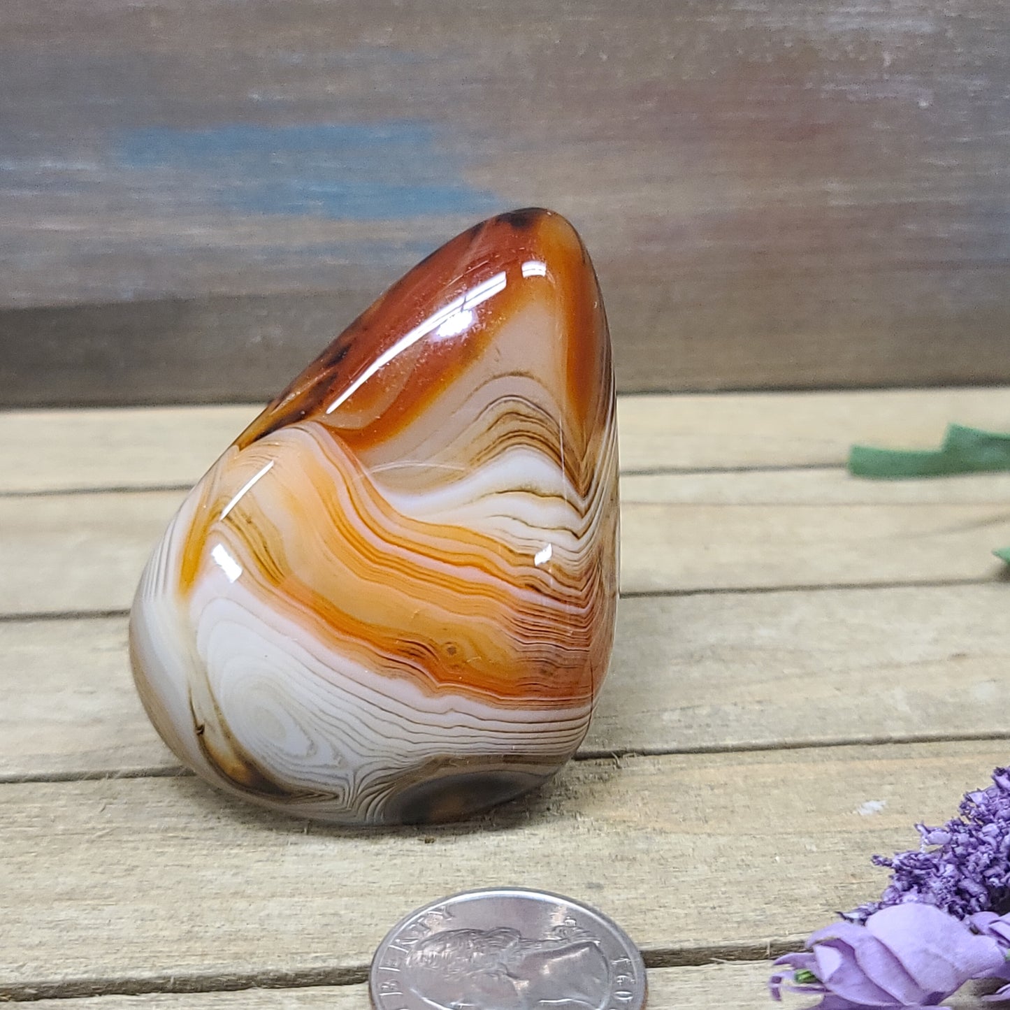SardOnyx Palms - Large