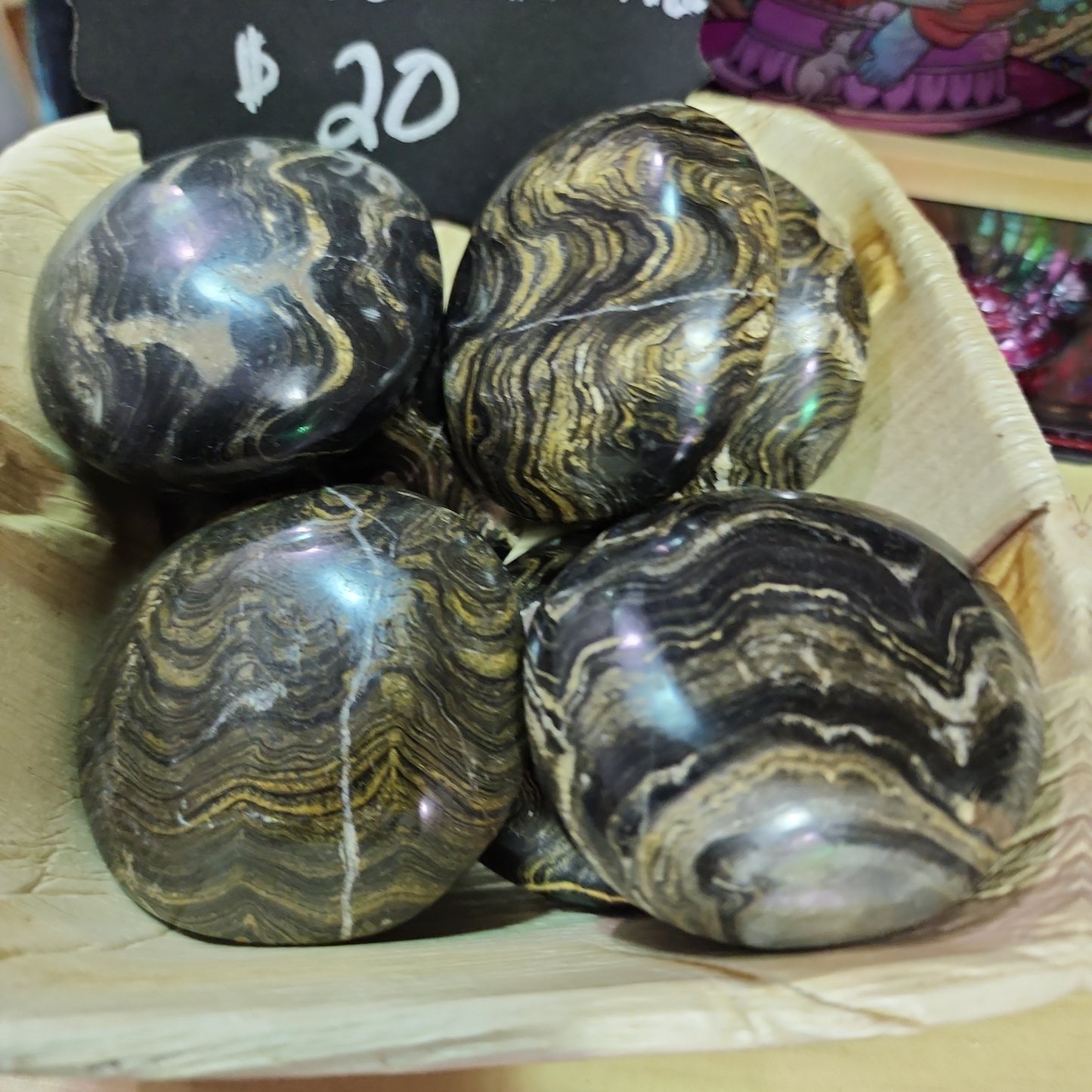 STROMATOLITE FOSSIL - PALM