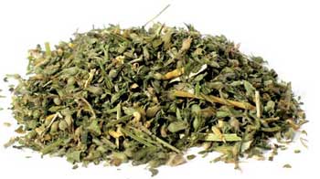 Catnip 1 oz.