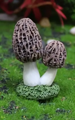 Mini Mushrooms for Fairy Gardens