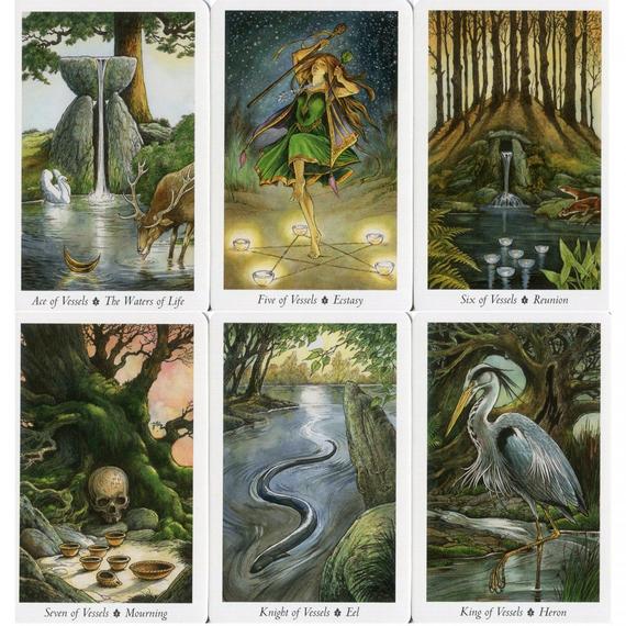 The Wild Wood Tarot