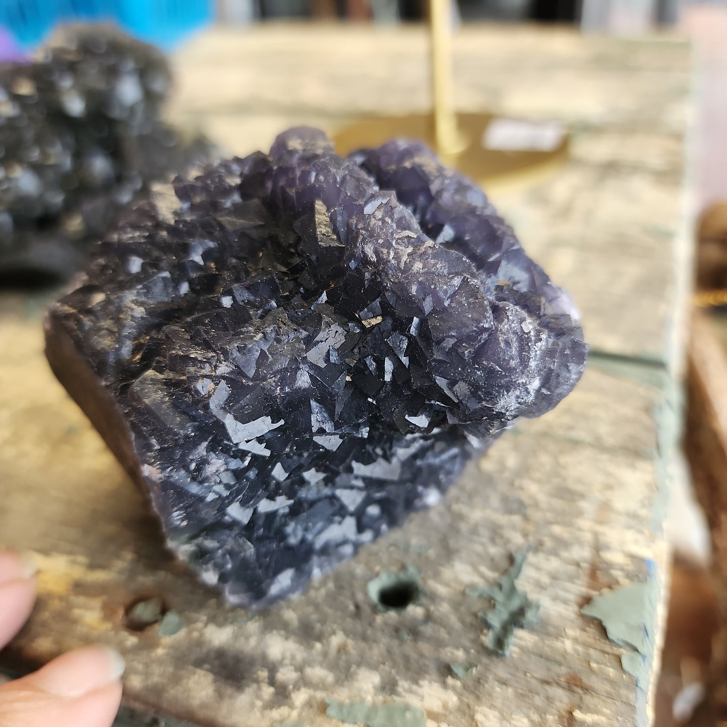 Black Fluorite Specimens