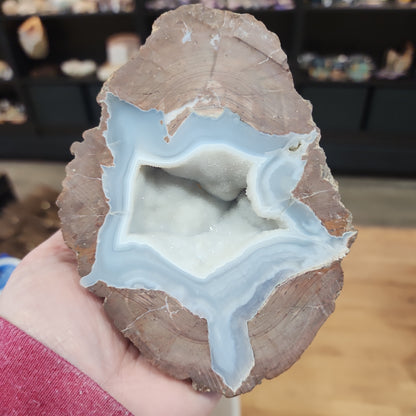 Thunder Egg Dugway Utah Gemy Geode Pair