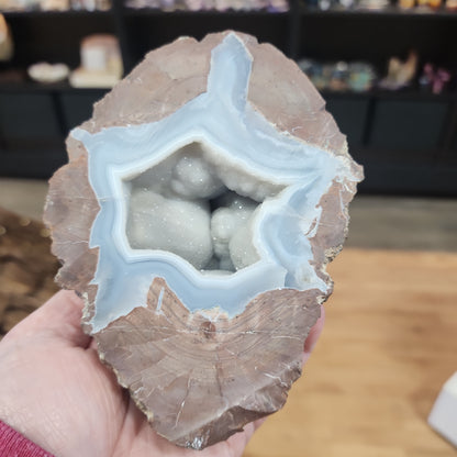 Thunder Egg Dugway Utah Gemy Geode Pair