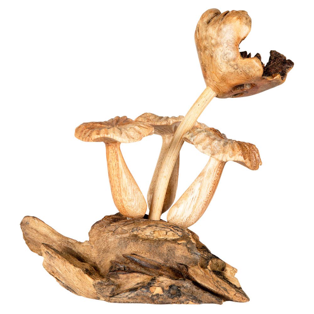 3 WOODEN MUSHROOM