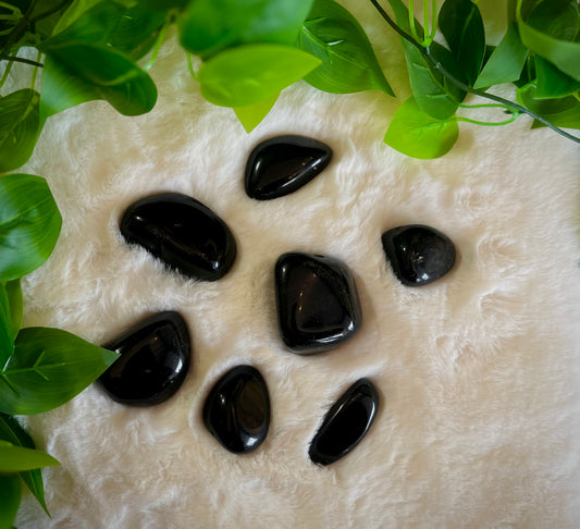 Black Obsidian Palms Assorted