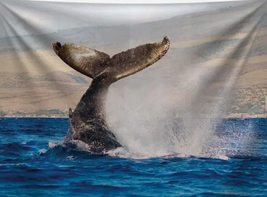 Whale Tale Tapestry 59 x 51