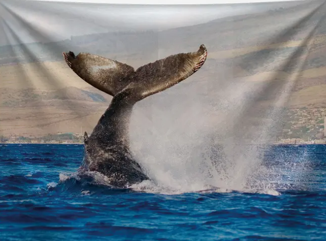 Whale Tale Tapestry 59 x 51