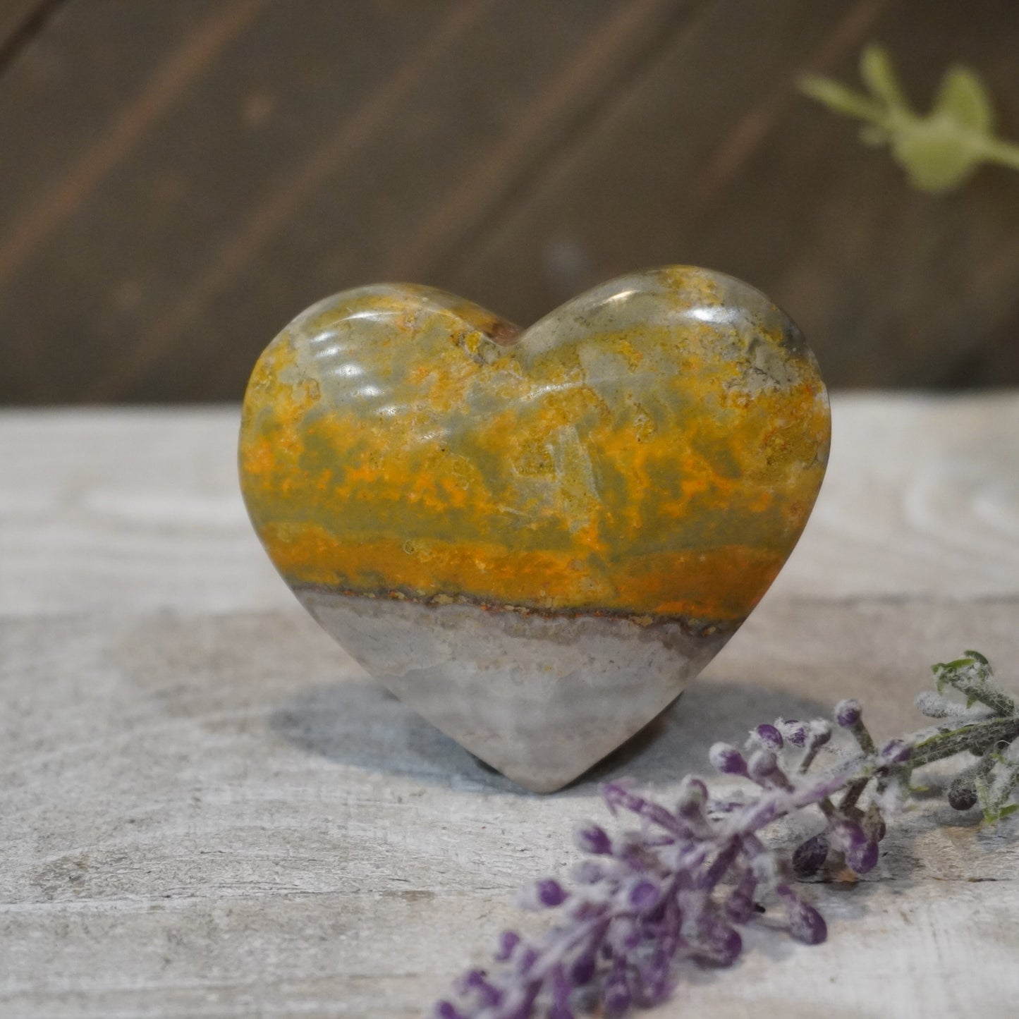 Bumblebee Jasper Hearts