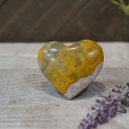 Bumblebee Jasper Hearts