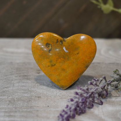 Bumblebee Jasper Hearts