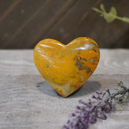 Bumblebee Jasper Hearts