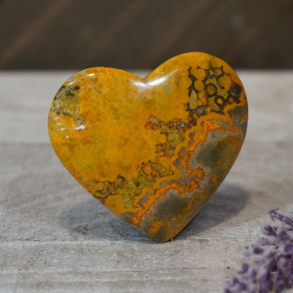 Bumblebee Jasper Hearts