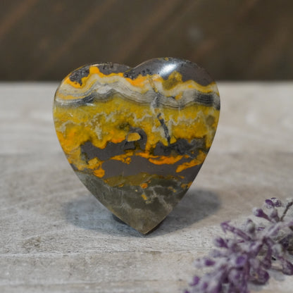 Bumblebee Jasper Hearts