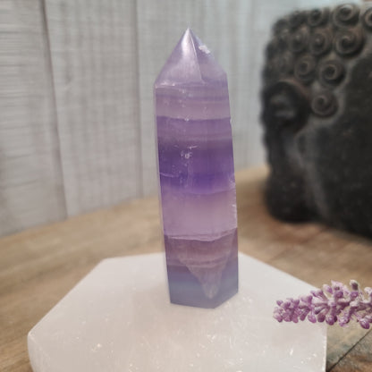 Indigo Fluorite Towers