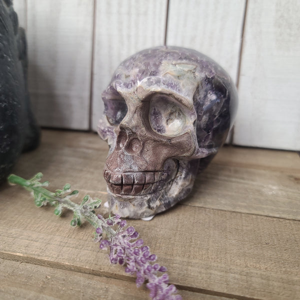Dream Amethyst Skulls