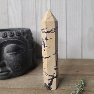 Picture Jasper Towers