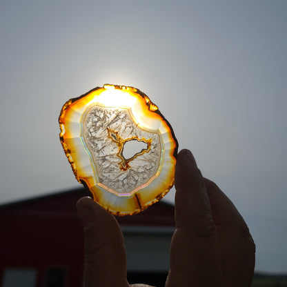 Iris Rainbow Agate Slices