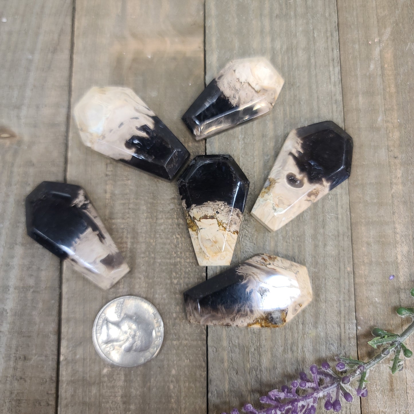 Palm Root Agate Coffins