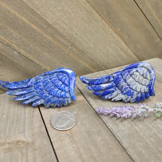 Lapis Wings