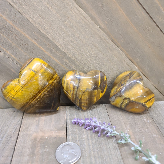 Tiger's Eye Hearts