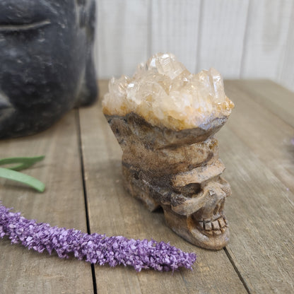 INCREDIBLE Quartz Skulls with Cluster Flowers