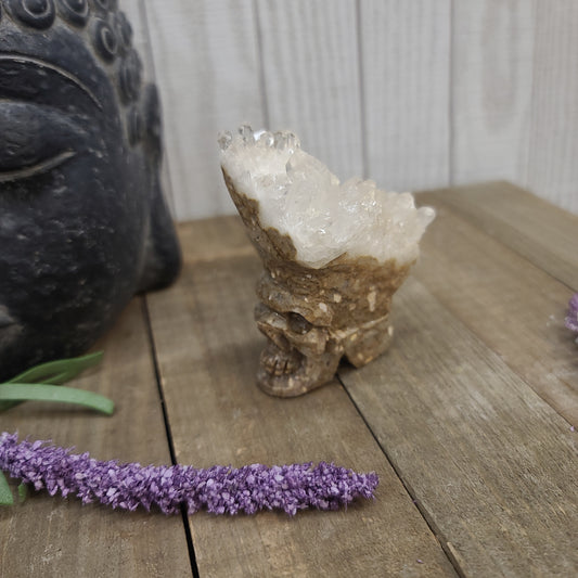 INCREDIBLE Quartz Skulls with Cluster Flowers