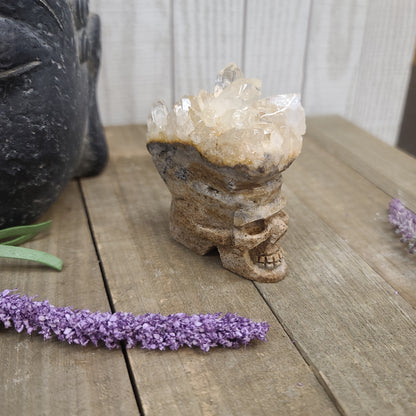 INCREDIBLE Quartz Skulls with Cluster Flowers