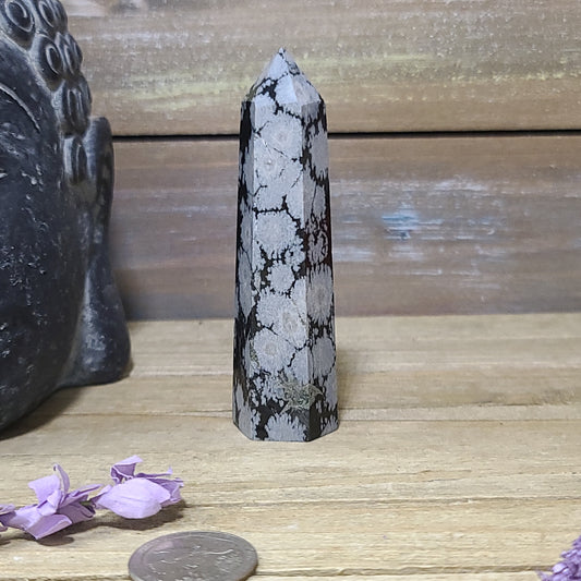 Snowflake Obsidian Tower