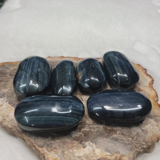 BLUE TIGERS EYE PALMS