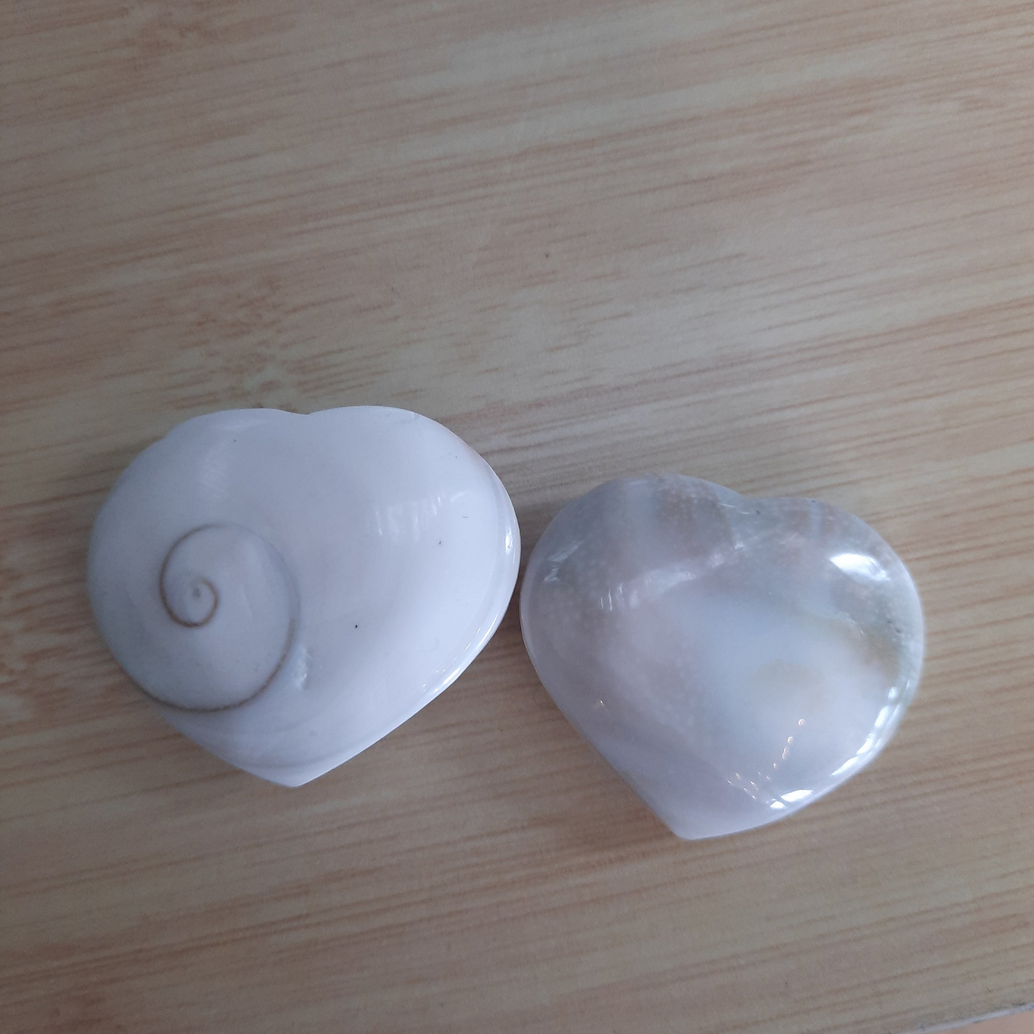Shiva Shells Tumble