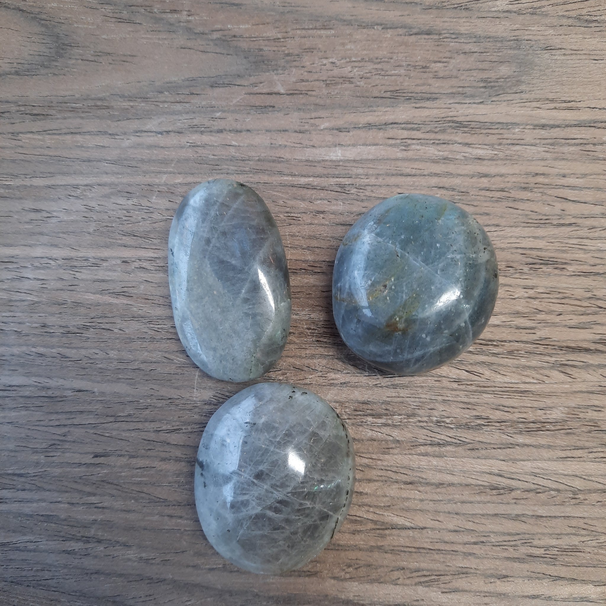 Intuitive Pick LABORADITE - PALMS
