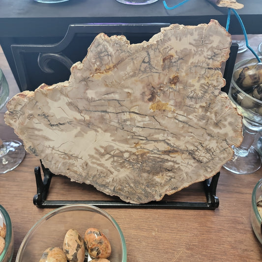 Petrified Wood Charging Plates