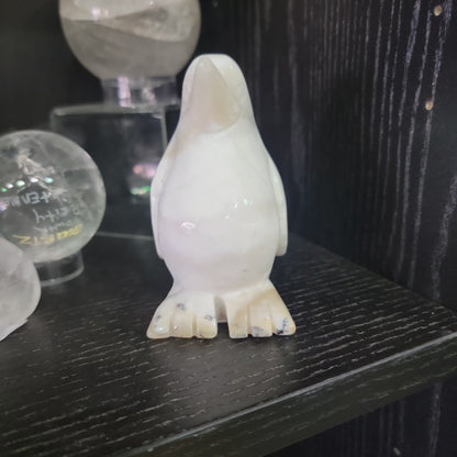 Agate Penguin