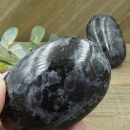 INDIGO GABBRO - PALMS