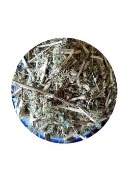 Boneset 1 oz.