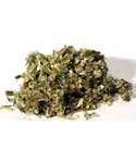 Mugwort 1 oz