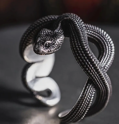 Winding Snake Ring