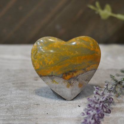 Bumblebee Jasper Hearts