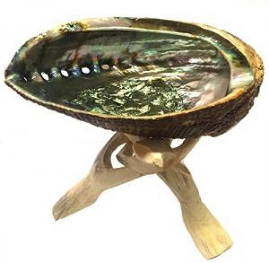 Abalone Shell 5-6'' and Wooden Tripod (NaTural)6"